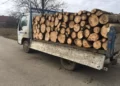 Polițiștii l-au sancționat cu un avertisment scris pe un șofer care transporta doi metri cubi de lemn de foc fără acte