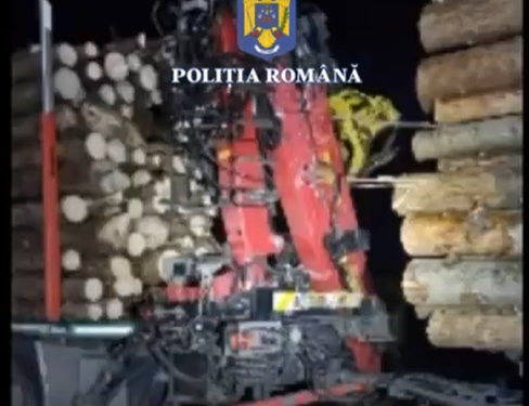 Polițiștii au efectuat 146 de percheziții în două dosare penale pentru tăiere ilegală de arbori, evaziune fiscală și alte infracțiuni