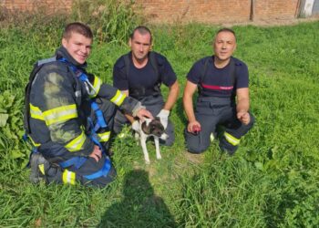 Pompierii timișeni au salvat un cățel căzut într-o fântână
