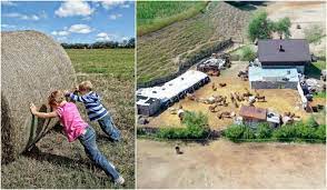 DIICOT Suceava l-a reținut pe un tată care i-a obligat pe cei cinci copiii ai săi să muncească până la epuizare la ferma sa de măgari și la o fabrică de cauciucuri