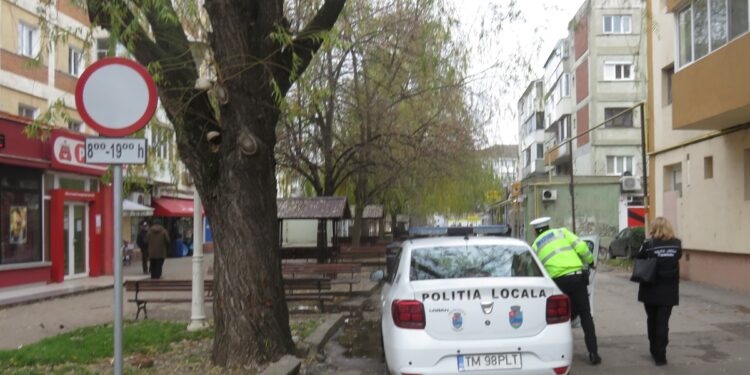 Bilanțul activității polițiștilor locali din Timișoara în perioada minivacanței de 1 Decembrie