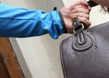 Doi bărbați au fost trimiși în judecată pentru i-au furat geanta unei femei într-un restaurant din Timișoara
