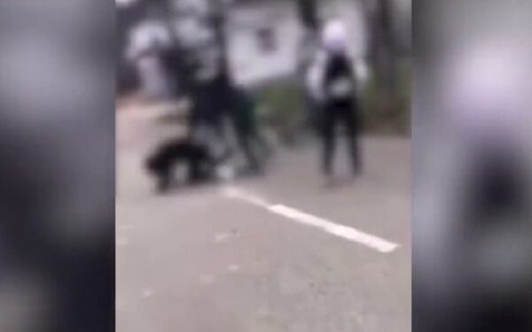 Mai mulți adolescenți din Caraș-Severin s-au bătut în fața unei unități de învățământ din cauza unei fete