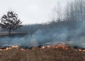 Flăcări pe 150 de hectare. Incendiile de vegetație s-au aprins unul după altul în mai multe localități