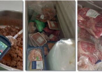 Excremente de șoareci și produse expirate găsite de inspectorii OPC în cantina unei școli!
