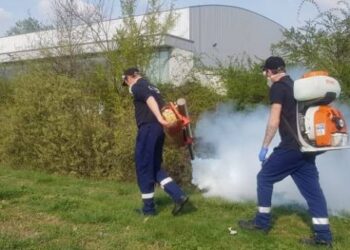 Pornește prima operațiune de dezinsecție de anul acesta, la Timișoara