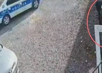 Viata salvata de interventia rapida a unui politist care a stiut sa faca manevrele de resuscitare pana la venirea Ambulantei, in Timis