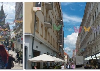 Fluturii de aproape 40.000 de euro au ‘zburat’ de pe strada Alba Iulia pe Marasesti