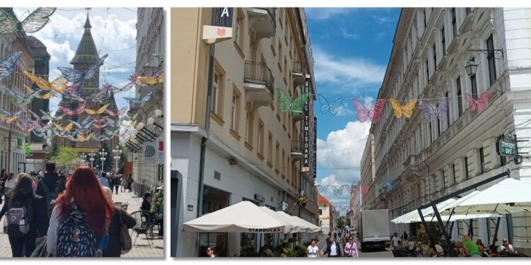 Fluturii de aproape 40.000 de euro au ‘zburat’ de pe strada Alba Iulia pe Marasesti