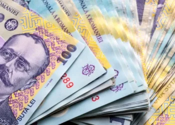 Fondurile româneşti de investiţii au adus câştiguri de peste 45%