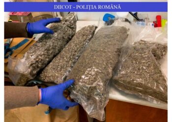 Cei mai mari traficanți de droguri, prinși la Iași!
