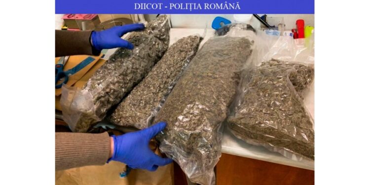 Cei mai mari traficanți de droguri, prinși la Iași!