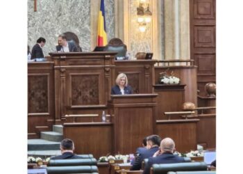 Luminița Păucean Fernandes, senatoarea AUR Sibiu: Salvarea de vieți nu poate fi o chestiune de compromisuri