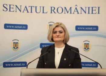 Luminița Păucean-Fernandes, senator AUR: România anului 2025 nu poate să lase mii de gospodării în întuneric!