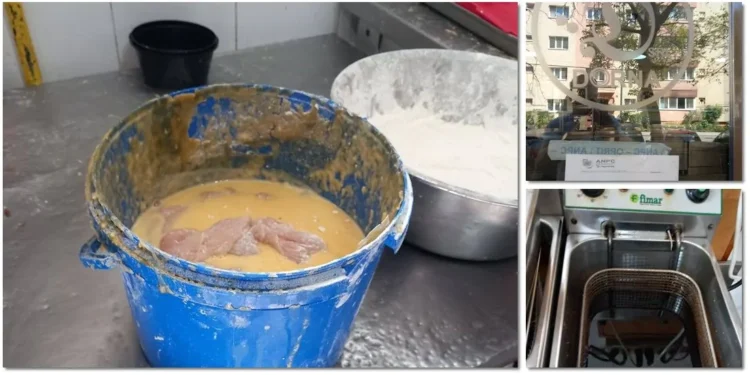 Frigidere stricate, rugină și șnițele preparate în găleți murdare! Restaurant închis de Protecția Consumatorului la Timișoara