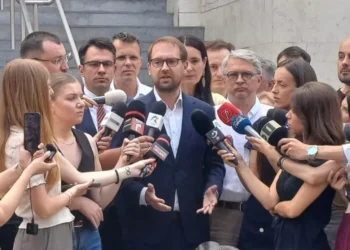 Neamțul Dominic Fritz este noul presedinte al USR! De ce i-a permis legea, dacă nu e cetățean român?