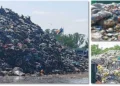 Dezastru la statia de sortare a deșeurilor de la Timișoara! De la ce persistă mirosul izbitor