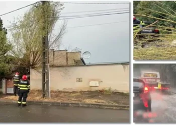 Copaci căzuți peste firele de curent la Timișoara dupa furtună
