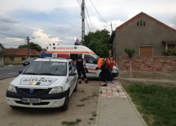 O tanara de 19 ani din Timiș l-a înjunghiat pe iubitul mamei ei! De la ce a pornit totul?