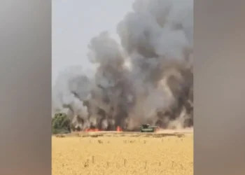 Incendiu de proporții în zona comunei Foeni – peste 100 de hectare de vegetație uscată cuprinse de flăcări