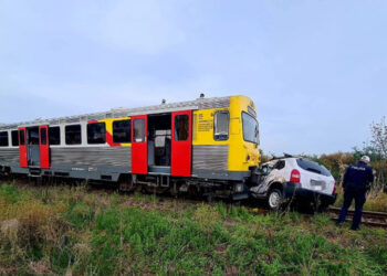 Intervenție impresionantă în Timiș: un animal a fost salvat de medici