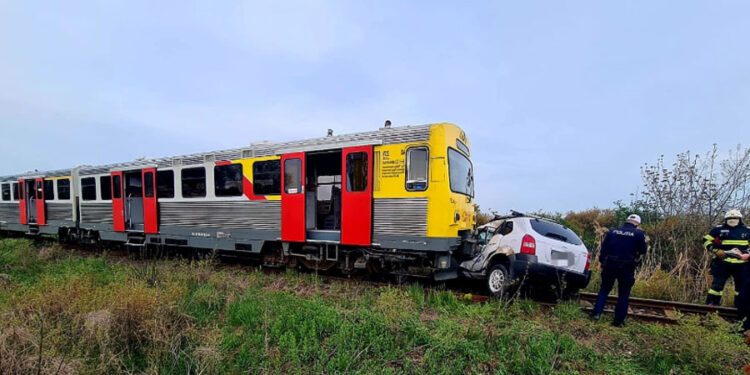 Intervenție impresionantă în Timiș: un animal a fost salvat de medici